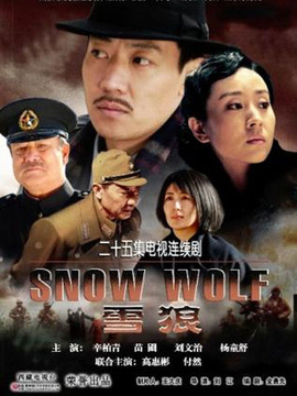 雪狼_天天影视