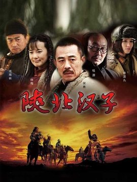 陕北汉子_天天影视