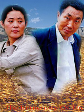 天高地厚_天天影视