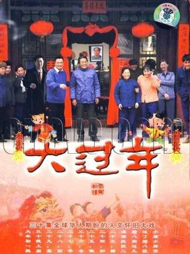 大过年_天天影视