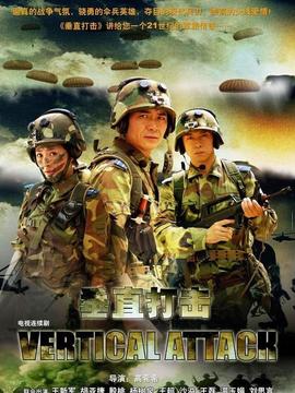 垂直打击_天天影视