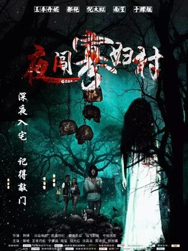 夜闯寡妇村_天天影视