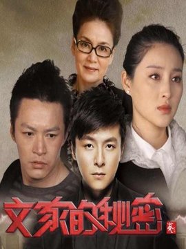 文家的秘密_天天影视