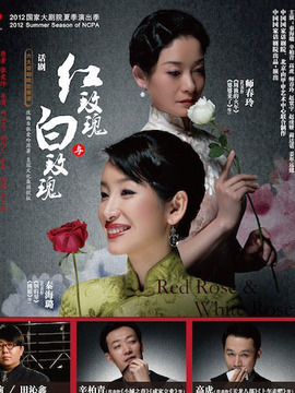 红玫瑰与白玫瑰_天天影视