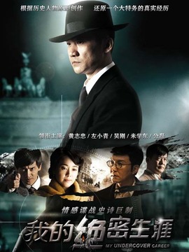 我的绝密生涯_天天影视
