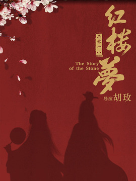 红楼梦电影版_天天影视