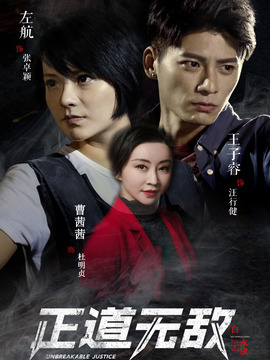正道无敌_天天影视