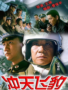 冲天飞豹_天天影视