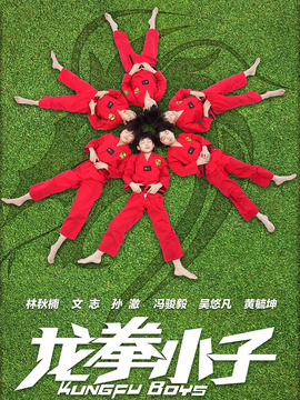 龙拳小子_天天影视