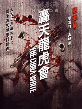 轰天龙虎会_天天影视