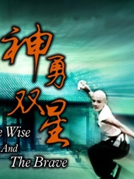 神勇双星_天天影视
