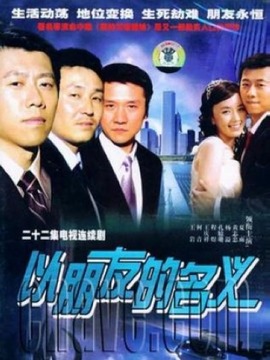 以朋友的名义_天天影视