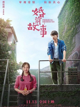 婚前故事_天天影视