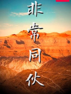 非常同伙_天天影视