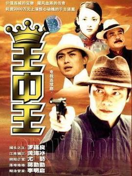 王中王_天天影视
