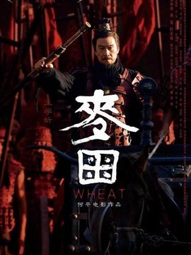 长平大战之麦田_天天影视