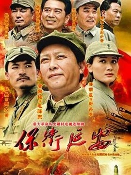 保卫延安_天天影视