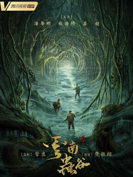 云南虫谷_天天影视