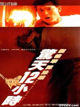 惊天十二小时_天天影视