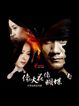 像火花像蝴蝶_天天影视