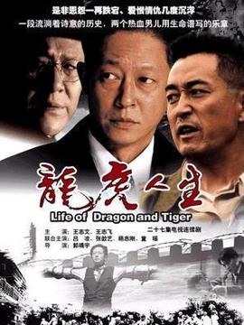 龙虎人生_天天影视