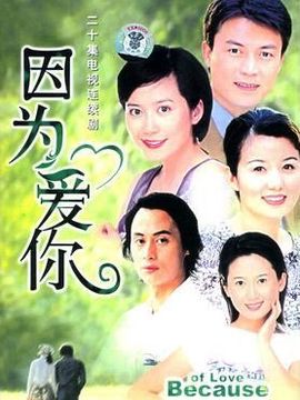 因为爱你_天天影视