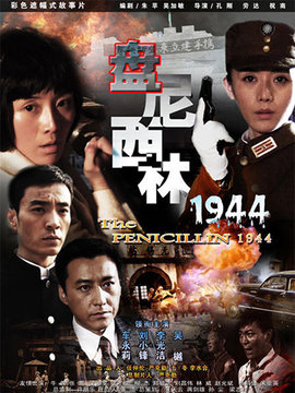 盘尼西林1944_天天影视