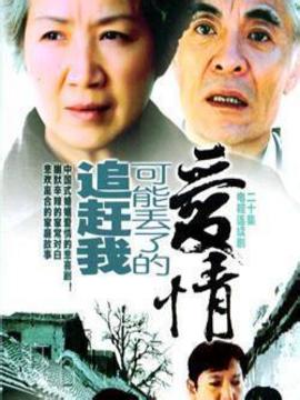 追赶我可能丢了的爱情_天天影视