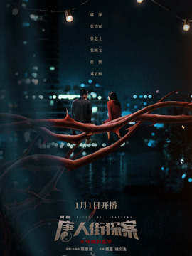 唐人街探案_天天影视