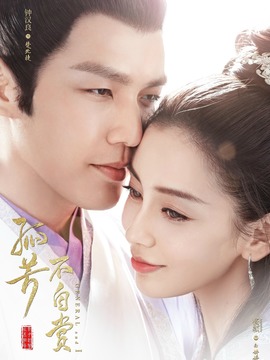 孤芳不自赏_天天影视