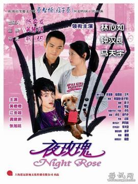 夜玫瑰_天天影视