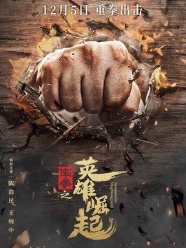 南拳之英雄崛起_天天影视