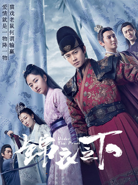 锦衣之下_天天影视