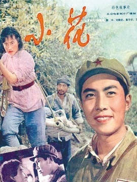 小花_天天影视