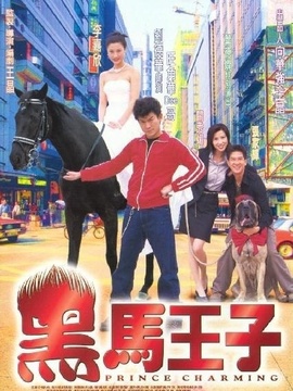 黑马王子_天天影视