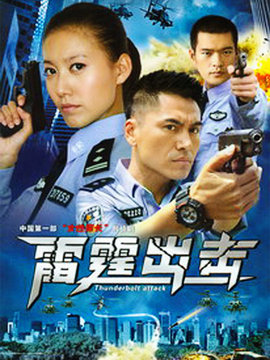 要案组雷霆出击_天天影视