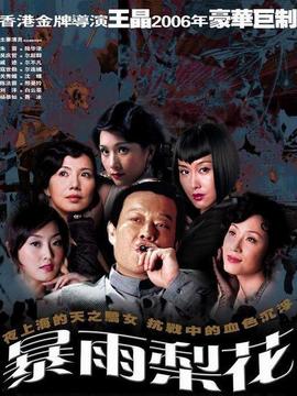暴雨梨花_天天影视