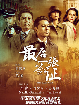 最后一张签证_天天影视