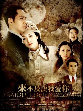 来不及说我爱你_天天影视