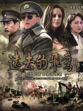 远去的飞鹰_天天影视