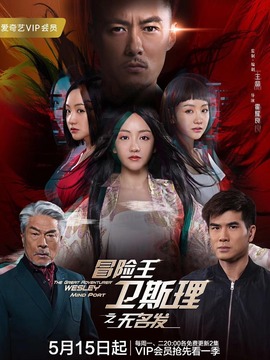 冒险王卫斯理之无名发_天天影视