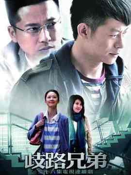 歧路兄弟_天天影视