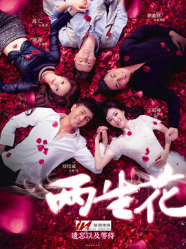 两生花_天天影视