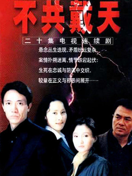 不共戴天_天天影视