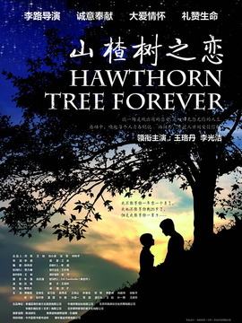 山楂树之恋_天天影视