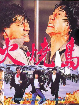 火烧岛_天天影视