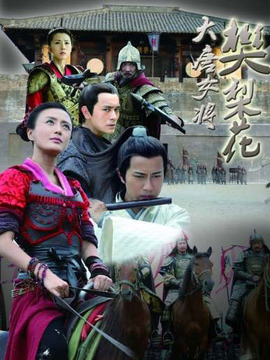 大唐女将樊梨花_天天影视