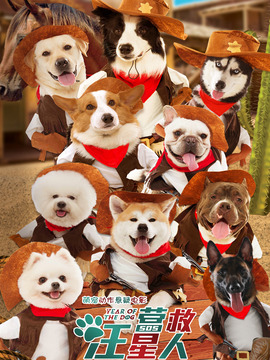 营救汪星人_天天影视