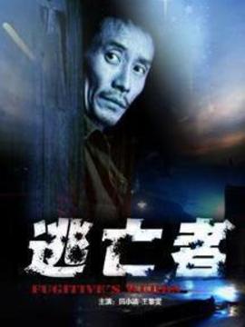 逃亡者_天天影视
