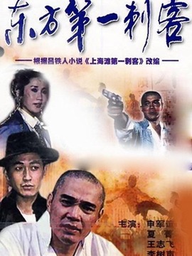 东方第一刺客_天天影视
